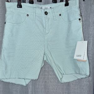 Carve Designs Mint Corduroy Shorts